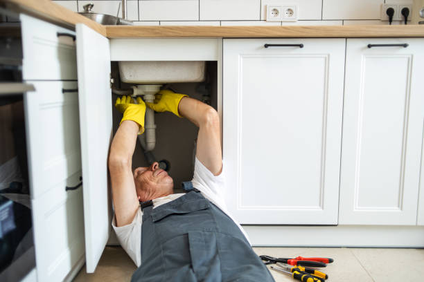 Professional Plumbing in Roswell, GA